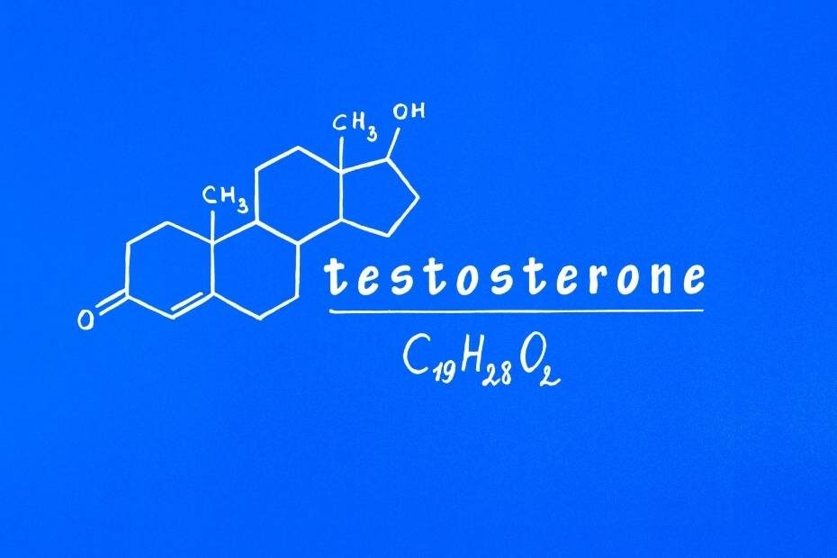 Increase Your Testosterone formula vmax fit