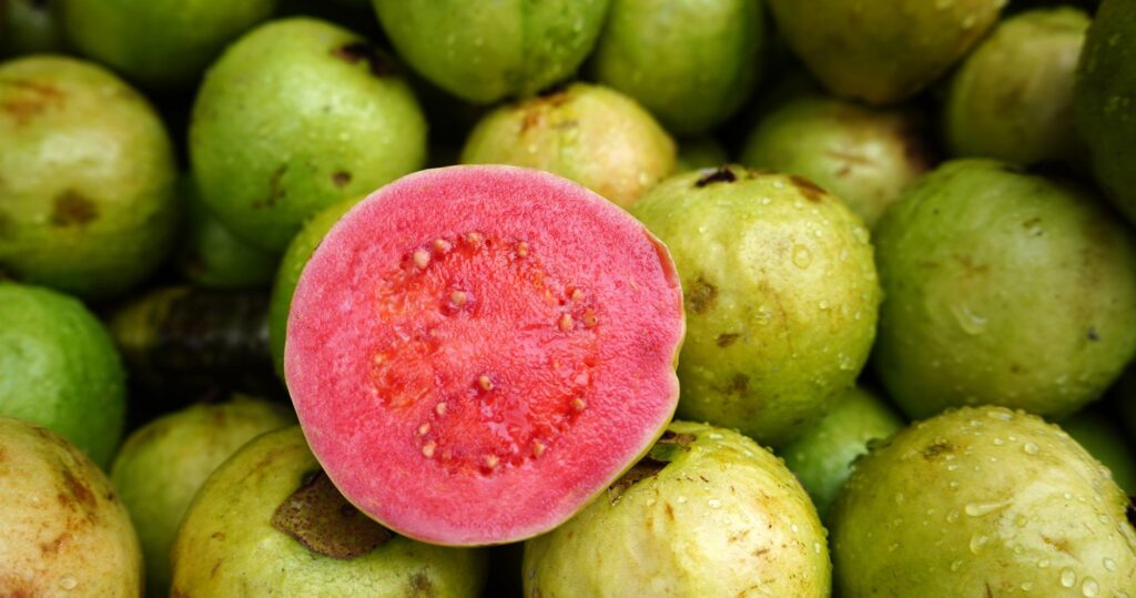 Guava